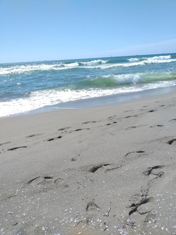 Sea Side * Viareggio