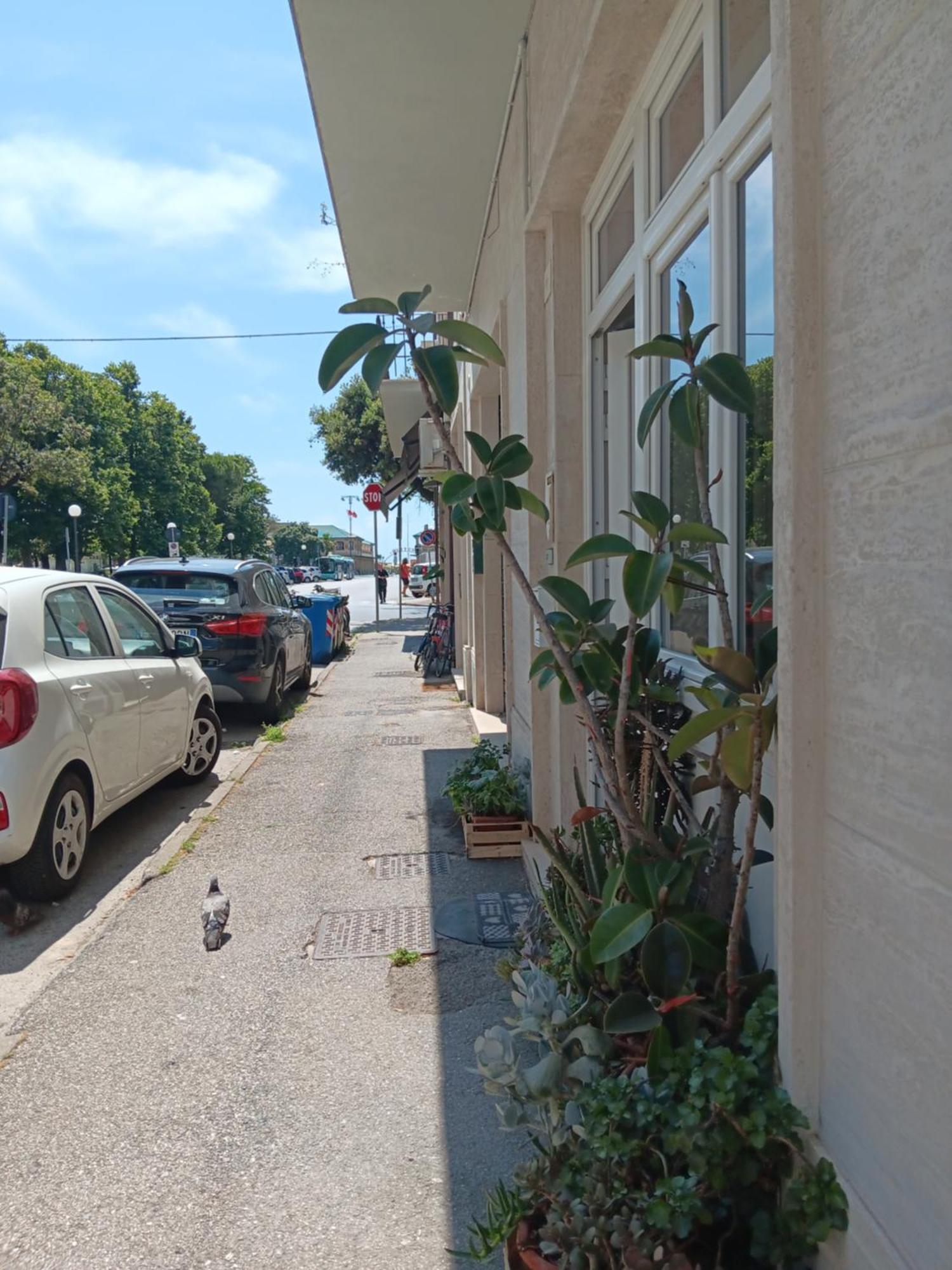 Sea Side Apartment Viareggio